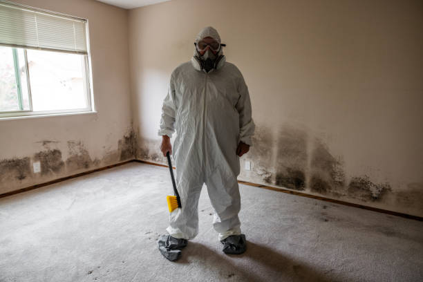 Best Fast Mold Removal  in Milan, TN